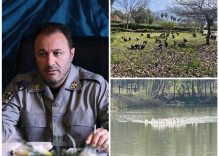 انتقال موقت پرندگان باغ پرندگان لویزان به مازندران