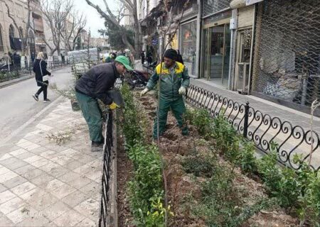 کاشت ۱۰ هزار اصله درخت و درختچه در محدوده شهرداری منطقه۸ تبریز