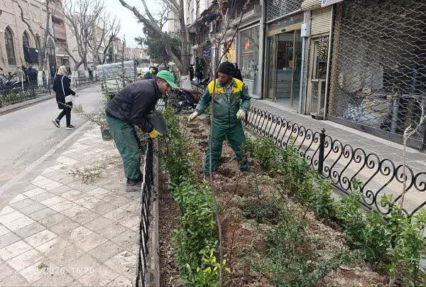 کاشت ۱۰ هزار اصله درخت و درختچه در محدوده شهرداری منطقه۸ تبریز