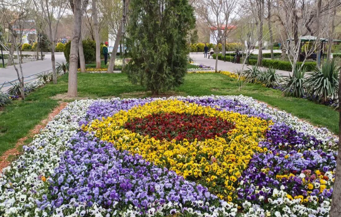 طراحی و کاشت ۹۵ تخته فرش گل در نوروز ۱۴۰۵