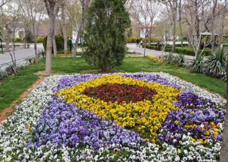 طراحی و کاشت ۹۵ تخته فرش گل در نوروز ۱۴۰۵