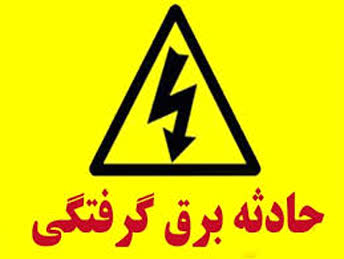تلف شدن هفت رأس گاو  بر اثر برق‌گرفتگی در بناب مرند