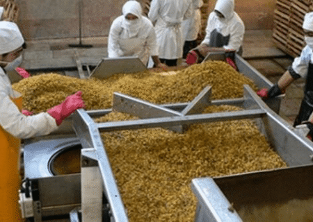 بناب، قطب کشمش آذربایجان شرقی با ۳۵ هزار تن
