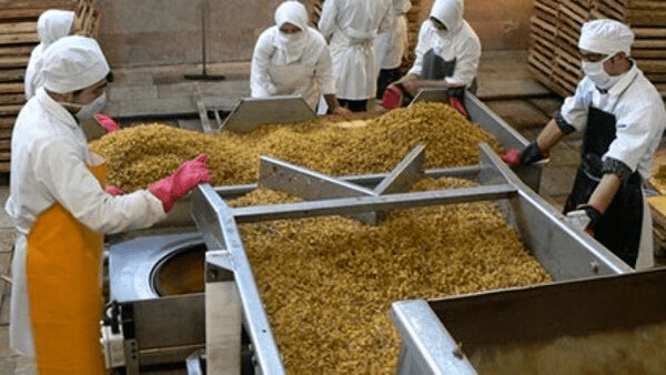 بناب، قطب کشمش آذربایجان شرقی با ۳۵ هزار تن