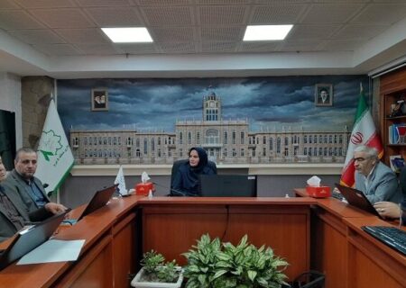 برنامه ریزی برای حذف نازیبایی های بازار تاریخی تبریز
