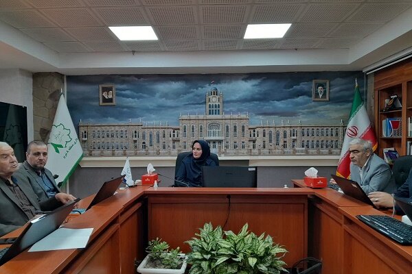 برنامه ریزی برای حذف نازیبایی های بازار تاریخی تبریز