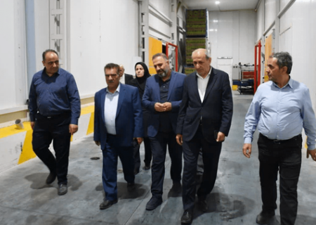 آذربایجان‌شرقی صادرکننده خرما در کشور بدون داشتن حتی یک نخل!