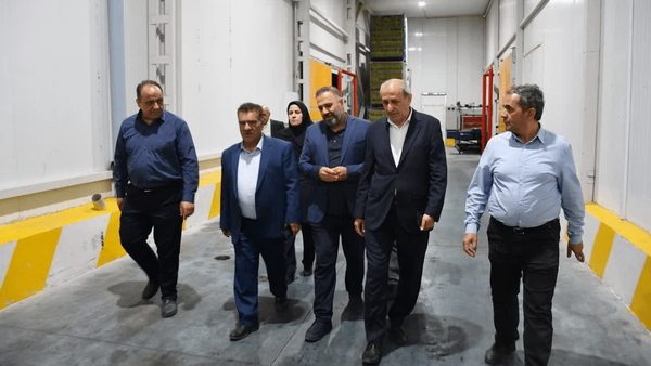 آذربایجان‌شرقی صادرکننده خرما در کشور بدون داشتن حتی یک نخل!