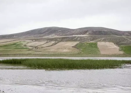 افزایش ۳۲ سانتی متری تراز آب تالاب قوری گول