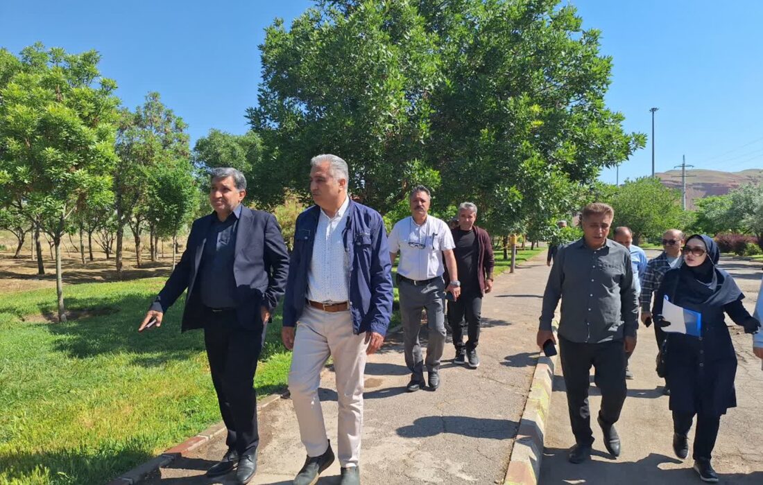 ارزیابی گسترده فضای سبز منطقه ۴ تبریز با حضور مدیرعامل سازمان سیما، منظر و فضای سبز