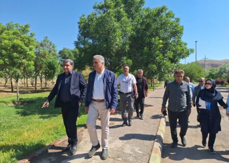 ارزیابی گسترده فضای سبز منطقه ۴ تبریز با حضور مدیرعامل سازمان سیما، منظر و فضای سبز