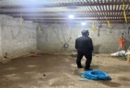 کشف ۲ محل کشتار غیرمجاز دام در تبریز