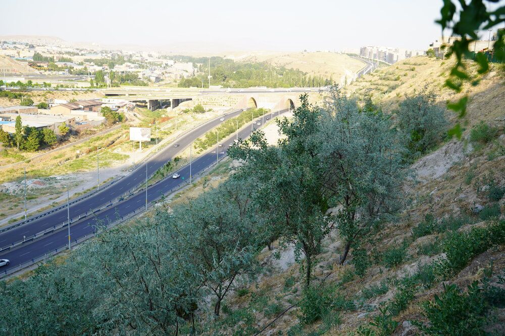 طراحی پارک کوهستانی ۳ هکتاری بلوار شهدای غواص آغاز شد