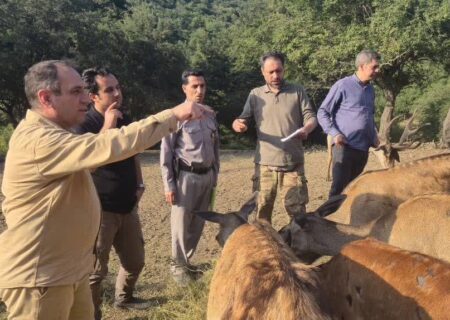 مارال در آستانه بازگشت به ارسباران