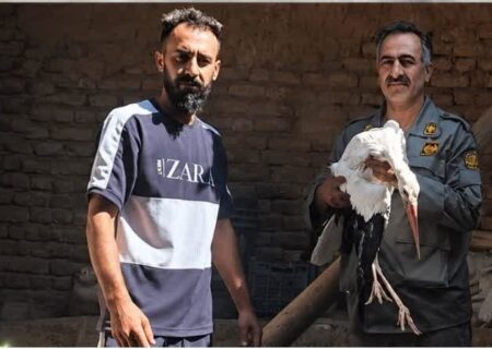امدادرسانی به لک‌لک آسیب‌دیده در روستای سهلان تبریز