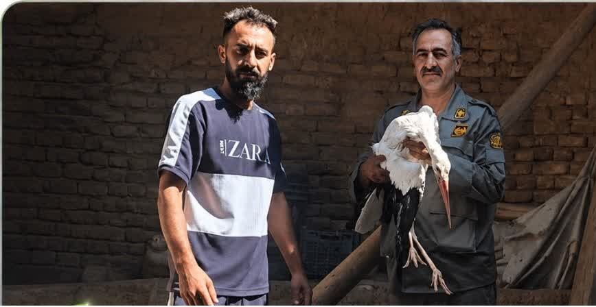 امدادرسانی به لکلک آسیبدیده در روستای سهلان تبریز