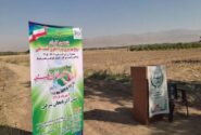کاروان ترویج بهرهوری در مرند؛ گامی راهبردی برای پیوند «دانش» و «مزرعه»