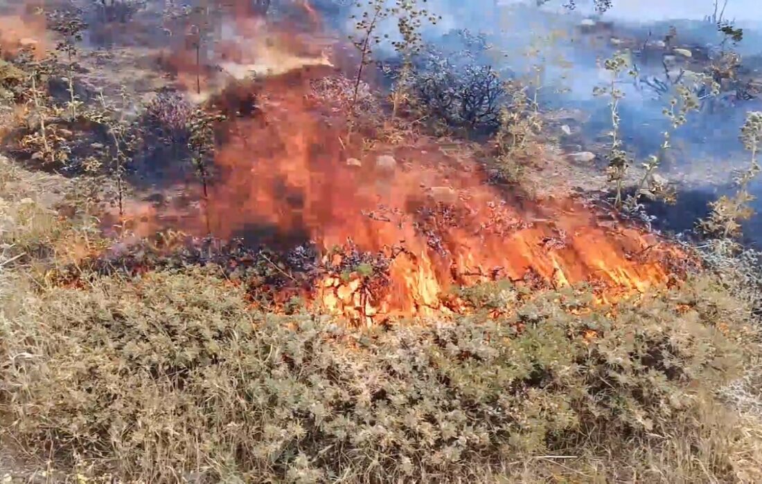 آتش زدن مراتع بلای جان طبیعت در مراغه