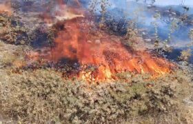 آتش زدن مراتع بلای جان طبیعت در مراغه