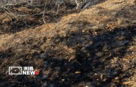 مهار آتش‌سوزی در منطقه حفاظت‌شده دیزمار خداآفرین