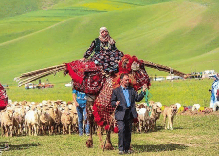 عشایر در خط مقدم تولید؛ سهم گوشت به ۴۰ درصد می‌رسد