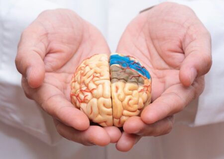 تغذیه متنوع، کلید حفظ سلامت مغز در سالمندی