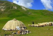 کاهش جمعیت عشایر زنگ خطری برای سیاستگذاریهای حمایتی است
