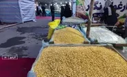 فراوری ۹۸ درصد لپه کشور در شهرستان آذرشهر+فیلم