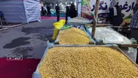 فراوری ۹۸ درصد لپه کشور در شهرستان آذرشهر+فیلم