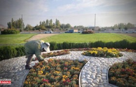 کاشت ۵۵ هزار بوته گل پاییزی در فضای سبز منطقه ۹ تبریز
