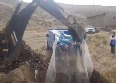کشف و معدوم‌سازی حدود ۲ تن ضایعات مرغ فاسد در هوراند