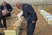 سرشماری سراسری زنبورستانهای مرند آذربایجان شرقی از دوم آبانماه