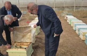 سرشماری سراسری زنبورستان‌های مرند آذربایجان شرقی از دوم آبان‌ماه