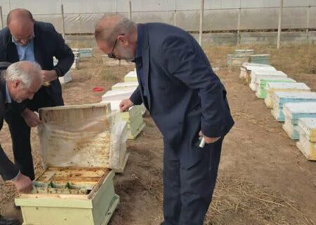 سرشماری سراسری زنبورستان‌های مرند آذربایجان شرقی از دوم آبان‌ماه