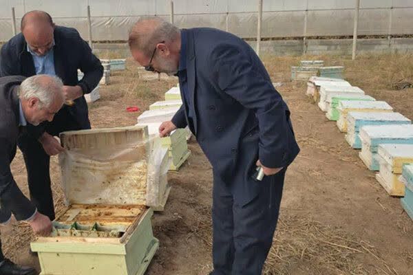 سرشماری سراسری زنبورستان‌های مرند آذربایجان شرقی از دوم آبان‌ماه